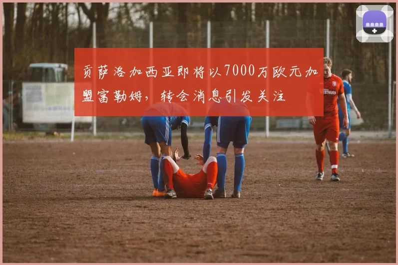 贡萨洛加西亚即将以7000万欧元加盟富勒姆,转会消息引发关注