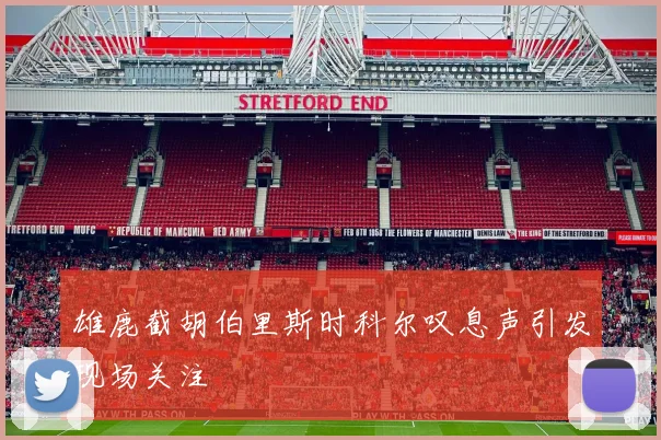 雄鹿截胡伯里斯时科尔叹息声引发现场关注